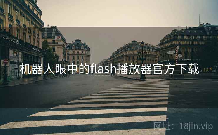 机器人眼中的flash播放器官方下载 第2张 机器人眼中的flash播放器官方下载 第2张